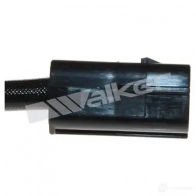 Лямбда зонд, кислородный датчик WALKER PRODUCTS 1423576987 25024768 9 880UQ4 - Изображение 3