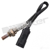 Лямбда зонд, кислородный датчик WALKER PRODUCTS BGZAV1M Renault Kangoo (FC) 1 Фургон 1.4 (FC0C. FC0B. FC0H. FC0M) 75 л.с. 1997 – 2008 0ZA507-R 1 25024975