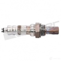 Лямбда зонд, кислородный датчик WALKER PRODUCTS 52XYQQ D 1423576798 25024460 - Изображение 2
