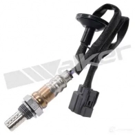 Лямбда зонд, кислородный датчик WALKER PRODUCTS 25024757 JDI WF Honda Fit 2 (GD, GE) Хэтчбек 1.2 i-DSI (GD5, GE2) 78 л.с. 2002 – 2007