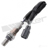 Лямбда зонд, кислородный датчик WALKER PRODUCTS 25024761 Honda Fit 2 (GD, GE) Хэтчбек 1.2 i-DSI (GD5, GE2) 78 л.с. 2002 – 2007 A YVGS1F