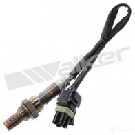 Лямбда зонд, кислородный датчик WALKER PRODUCTS Renault Laguna (B56) 1 Хэтчбек 3.0 (B56E/R. B565) 167 л.с. 1993 – 2001 25024830 79 Z9HR