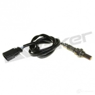 Лямбда зонд, кислородный датчик WALKER PRODUCTS TR OH8CQ 25024577 Volkswagen Passat (B5) 3 Универсал 2.0 4motion 120 л.с. 2000 – 2000