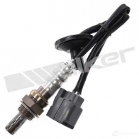 Лямбда зонд, кислородный датчик WALKER PRODUCTS 25024759 Honda Fit 2 (GD, GE) Хэтчбек 1.2 i-DSI (GD5, GE2) 78 л.с. 2002 – 2007 K 3X5L01