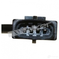 Лямбда зонд, кислородный датчик WALKER PRODUCTS 1423576960 T5YI 8 25024735 - Изображение 4