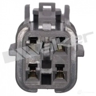 Лямбда зонд, кислородный датчик WALKER PRODUCTS 1423576564 1N ZE3 250241067 - Изображение 3