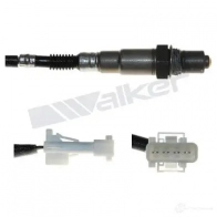 Лямбда зонд, кислородный датчик WALKER PRODUCTS W88 88 1423576967 25024748 - Изображение 5