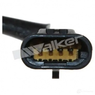 Лямбда зонд, кислородный датчик WALKER PRODUCTS 250241011 IT E37AG 1423576513 - Изображение 4