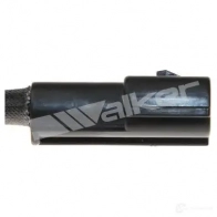 Лямбда зонд, кислородный датчик WALKER PRODUCTS TD9D0 Y 25023165 1423576447 - Изображение 3
