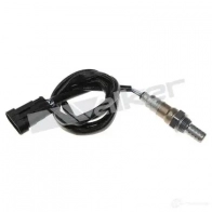 Лямбда зонд, кислородный датчик WALKER PRODUCTS Fiat Doblo (119, 223) 1 Минивэн 1.6 16V (223AxD1A) 103 л.с. 2001 – 2025 OCH QZ 25024705