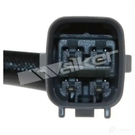 Лямбда зонд, кислородный датчик WALKER PRODUCTS 250241079 P739V Z 1423576572 - Изображение 4