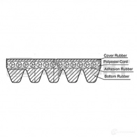 Приводной ремень поликлиновой ZEKKERT 1440200872 KR-8PK2170 NFDWG AH