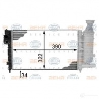 Радиатор охлаждения двигателя HELLA 45861 _BEHR HELLA SERVICE_ 8mk376718291 BFHU5S
