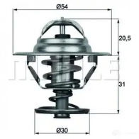 Термостат ож