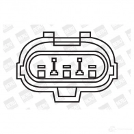 Щетки генератора, с регулятором BERU 116790 ger101 GER 101 0190005101 - Изображение 2