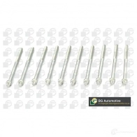Комплект болтов ГБЦ BGA BK6331 3174861 EM EA6 - Изображение 5