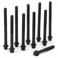 Комплект болтов ГБЦ BGA OD5 HA7G BK6318 3174848 - Изображение 3