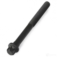 Комплект болтов ГБЦ BGA OD5 HA7G BK6318 3174848 - Изображение 4