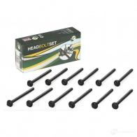 Комплект болтов ГБЦ BGA 3174650 BK4305 428D 5O - Изображение 2