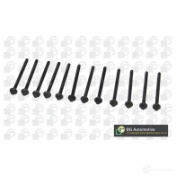 Комплект болтов ГБЦ BGA 3174650 BK4305 428D 5O - Изображение 6