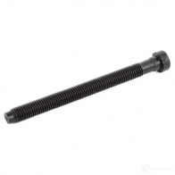 Комплект болтов ГБЦ BGA 2SZ0R L2 3174547 BK2378 - Изображение 4