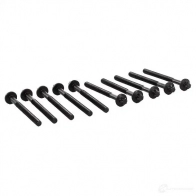 Комплект болтов ГБЦ BGA KIZQ Y 3174660 BK4316 - Изображение 3