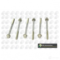 Прокладка ГБЦ, головки блока цилиндров BGA X02N NF1 Toyota Camry ch2528