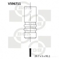 Впускной клапан BGA V596711 3190257 8K0 IK