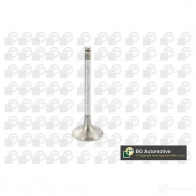 Впускной клапан BGA PX0 PC V164990 1231801279