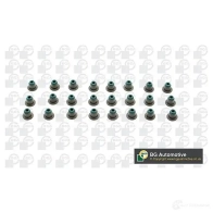 Маслосъемные колпачки BGA 3191187 VK2361 4QRGY R - Изображение 3