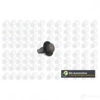 Сливная пробка BGA 3187319 JNDK OV PK2305