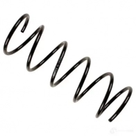 Пружина BILSTEIN 172050 4025258684280 36198269 O6B3 N