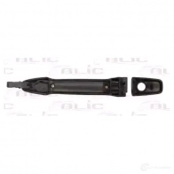 Ручка двери BLIC DLM T5Y 6010-15-051401P 3505076 - Изображение 2