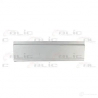 Дверь BLIC 6SZ G4 6015002020142p 3505532
