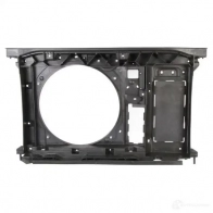 Панель радиатора BLIC HG IDMSD 6502-08-0538200P Citroen C4 Picasso