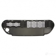 Решетка бампера BLIC Z34ZFG Z Peugeot 107 6502-07-5501985Q