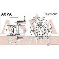 Ступица колеса ASVA HNWH-EKR 1269714445 YT 5Z1 - Изображение 2