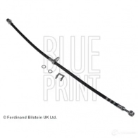 Тормозной шланг BLUE PRINT Honda Edix IEAU4 DL 5050063632323 ADH253155