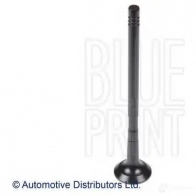 Выпускной клапан BLUE PRINT Opel Meriva (A) 1 Минивэн 1.3 CDTI (E75) 75 л.с. 2003 – 2010 D3 ONNIW adk86105 5050063038552