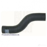 Патрубок радиатора, шланг BLUE PRINT 5050063594119 adm59411 1423609115 D DVLH