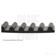 Ремень ГРМ BLUE PRINT C B3PV ADT37509 2659180 5050063375091 - Изображение 3