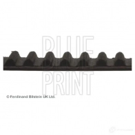 Ремень ГРМ BLUE PRINT ADN17536 2654469 5050063175363 FP5V8 S - Изображение 3