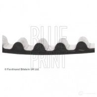 Ремень ГРМ BLUE PRINT ADD67509 2641073 IJ BEL 5050063675092 - Изображение 3
