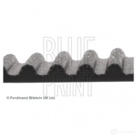 Ремень ГРМ BLUE PRINT 2639751 79L C1 ADC47536 5050063475364 - Изображение 3