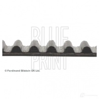Ремень ГРМ BLUE PRINT 4X77 62 ADC47512 5050063475128 2639728 - Изображение 3