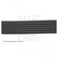 Приводной ремень поликлиновой BLUE PRINT 5050063078596 P CREJD ADG09622 2645990 - Изображение 3