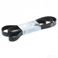 Приводной ремень поликлиновой BLUE PRINT AD08R2190 8 PK2187 8PK2188 2637122 - Изображение 2