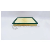Воздушный фильтр плоский BIG FILTER gb9565 1441295496 WF 5SJ