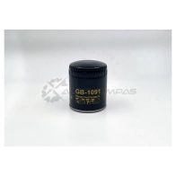 Масляный фильтр BIG FILTER 5 13RT0E gb1091 1441295800