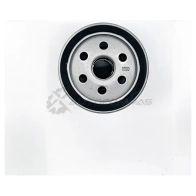 Масляный фильтр BIG FILTER gb142 1441295811 WG 3HK - Изображение 3